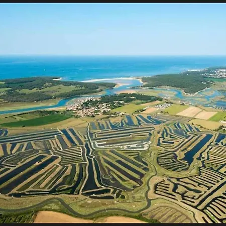 公寓 Avec Vue Mer, Port Et Golf Talmont-Saint-Hilaire