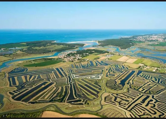 Appartamento Avec Vue Mer, Port Et Golf Talmont-Saint-Hilaire