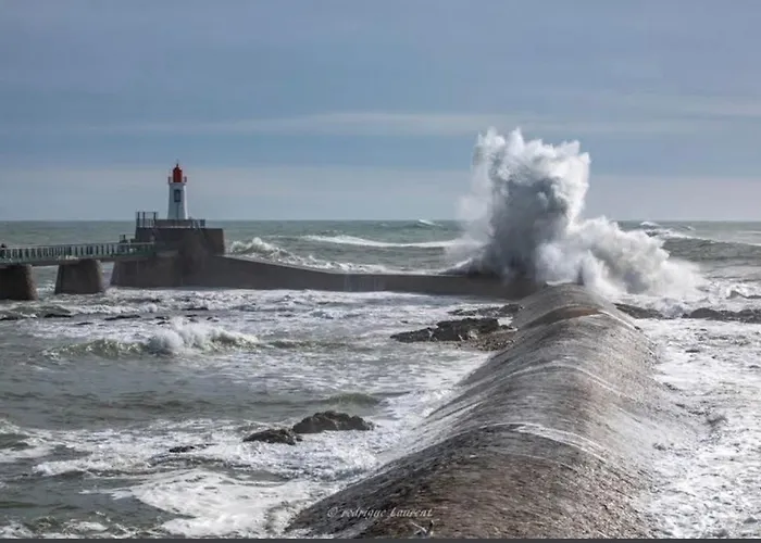 Appartamento Avec Vue Mer, Port Et Golf Talmont-Saint-Hilaire